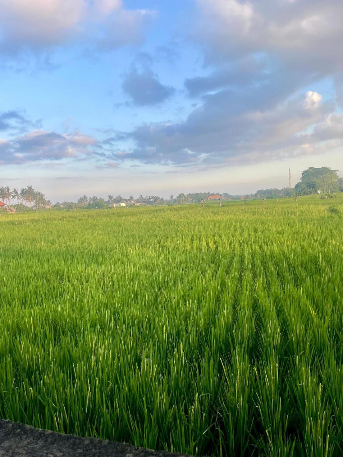 Arbathu Villa Ubud Экстерьер фото
